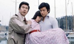 电视剧血疑在线观看4,揭秘家族复仇的悲情纠葛